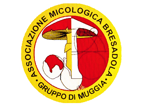 A.M.B. ASSOCIAZIONE MICOLOGICA “BRESADOLA” gruppo di Muggia e del Carso